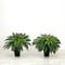 23" Artificial Boston Fern Plant with Tapered Bronze Square Metal Planter
